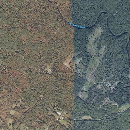 Car hits deer and leaks fluid in Lincolnville