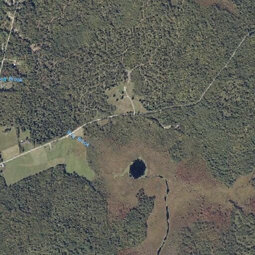 Motorcycle crash with arm injury on Bear Pond Road