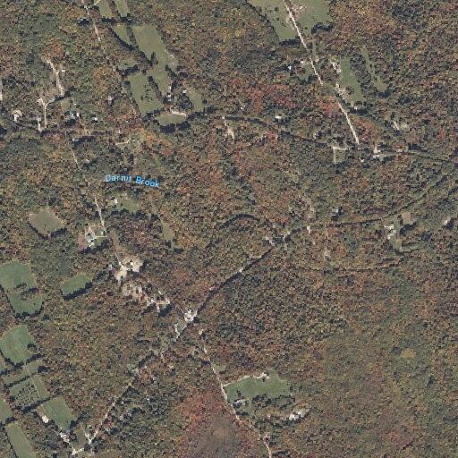 Medical alarm triggered for elderly woman in Buckfield
