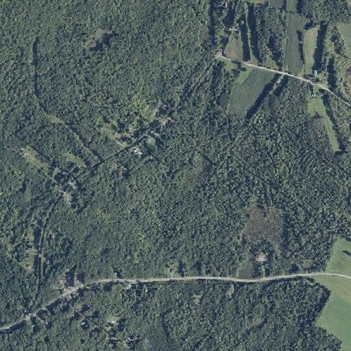 Trespass complaint at property on Bean Road