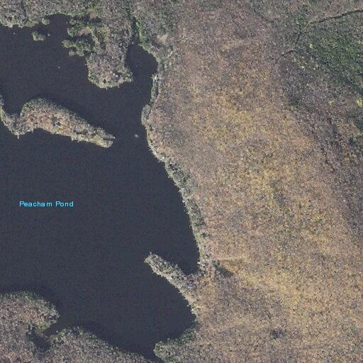 Female with suicidal thoughts and seizures at Vermont address