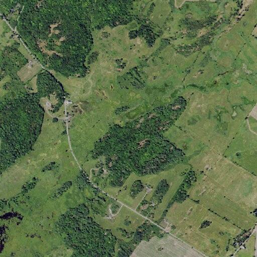 Elderly man trapped in pond at Limestone Road