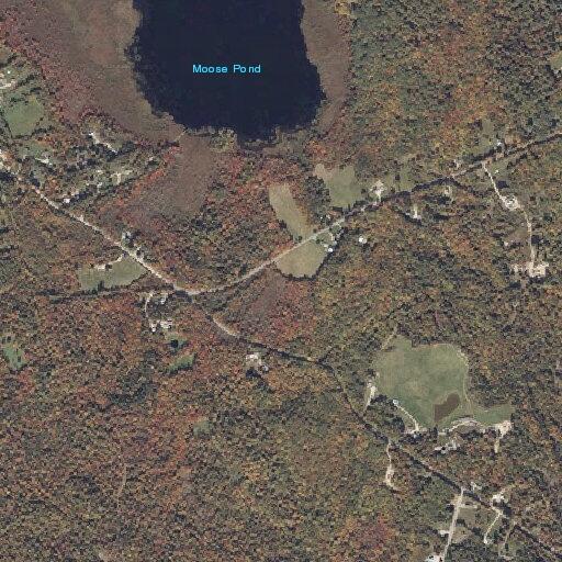Suicidal person reported to have run into woods in West Paris