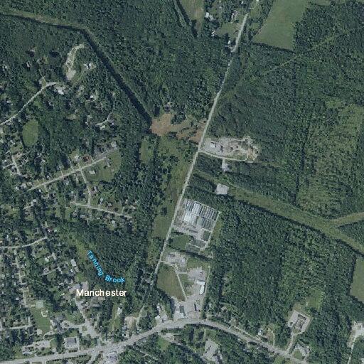 39-year-old woman collapsed with possible heart attack