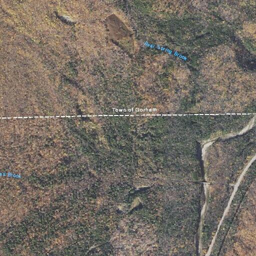 Elderly man with fever and fast heart rate at campground