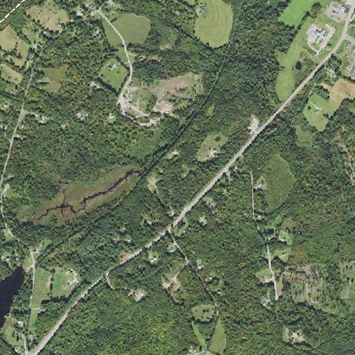 Tree blocking roadway on NH-142 near Kimball Hill