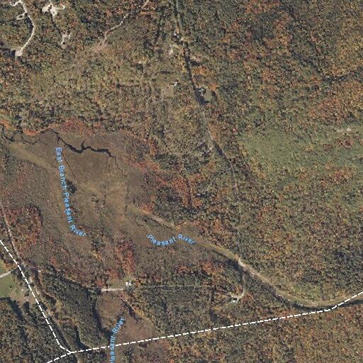 Woman falls and suffers head injury in Bethel