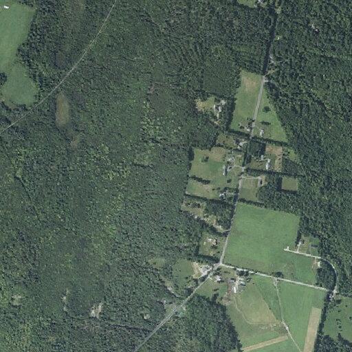 Traffic stop on Route 135 in Readfield