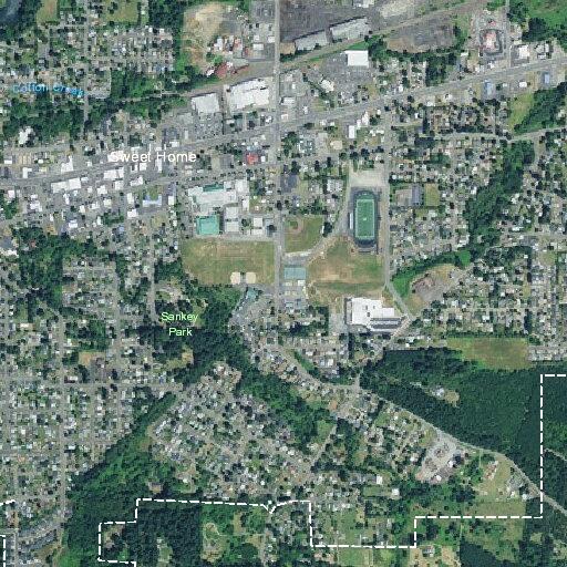Woman with abdominal pain treated near Surrey Lane