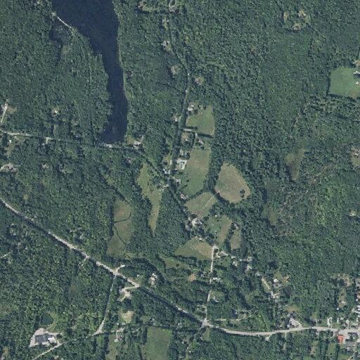 Injured deer on Route 41 near Readfield line