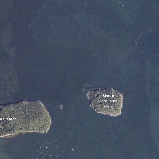 Kayakers checked near Sheep Porcupine Island