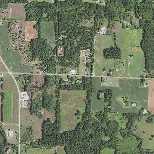 Complaint over dog barking on 11 Mile Road