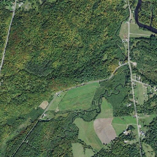 55-year-old male fallen near Burnell Road