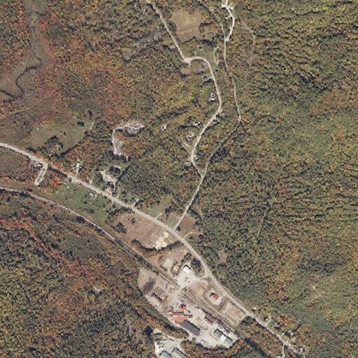 69-year-old woman with rapid heart rate near Bethel