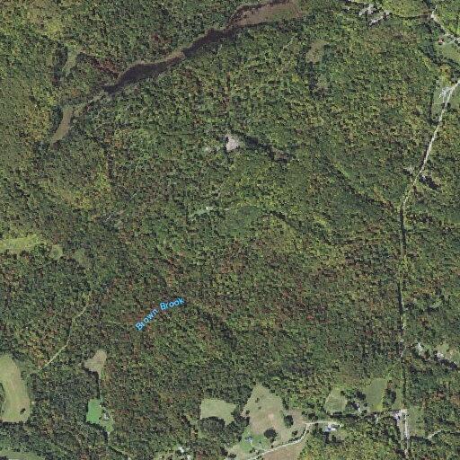 96-year-old woman with abdominal pain in West Danville