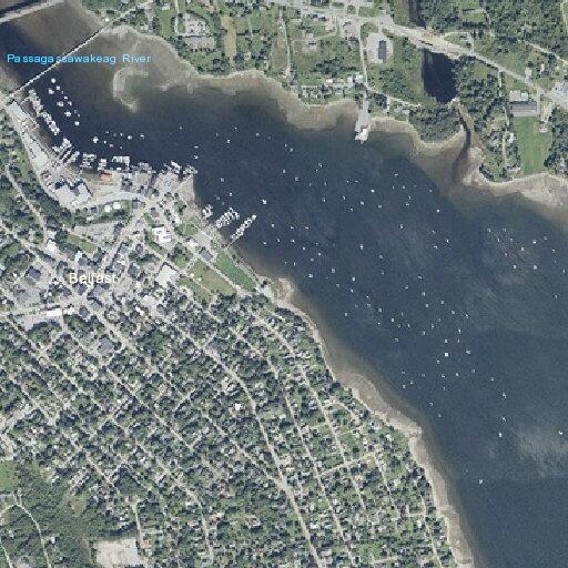 Officer responds to complaint at Commercial Street boathouse