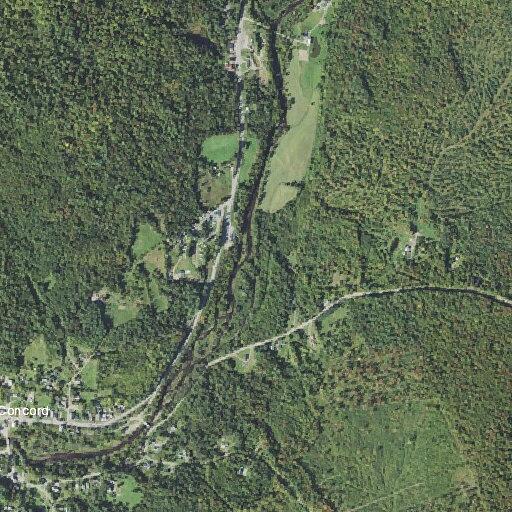 19-year-old female actively seizing in Concord