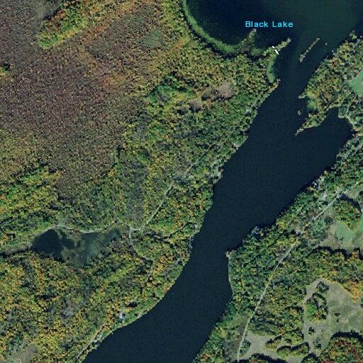 Man falls on dock near Woodley Road