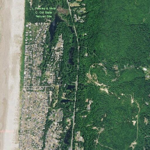 Person with abdominal medical issue in Waldport