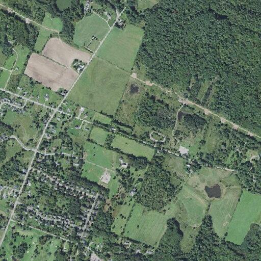 Woman with swollen leg reported near Tamarack Drive