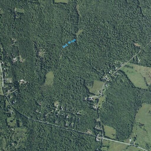 88-year-old woman with infected toe at Fox Hill Rd