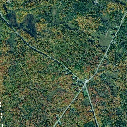 Tree blocking roadway on County Road 24