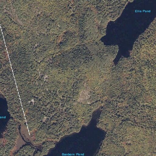 Young woman fell and lost memory near Sanborn Pond