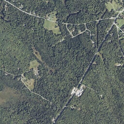 Mother injured in domestic assault near Blue Hill Rd in Surry