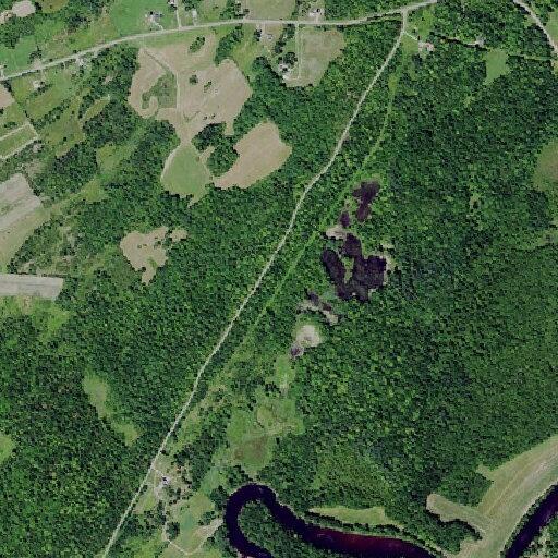 Teen male injured by rake through foot at River Rd