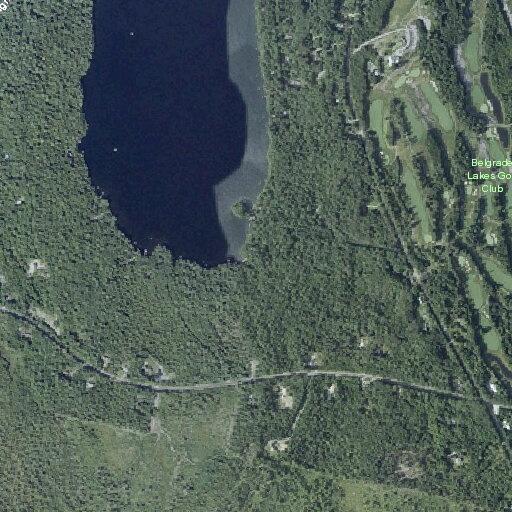 Fallen trees block both lanes on Castle Island Road