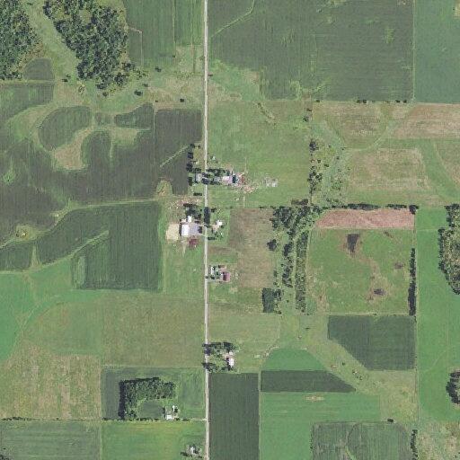 Deputy unable to find farm owner after cow road hazard