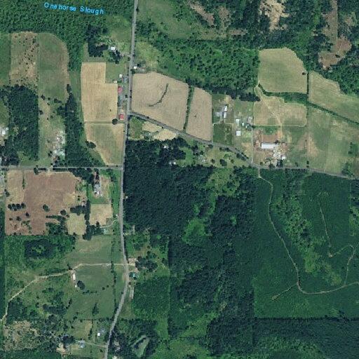 Person fell at Bellinger Scale Road intersection