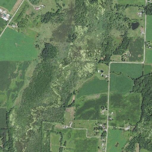 Juvenile complaint reported near Town Hall Rd