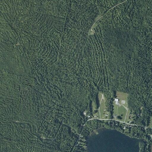 Small tree fire reported near McGrath Pond Road