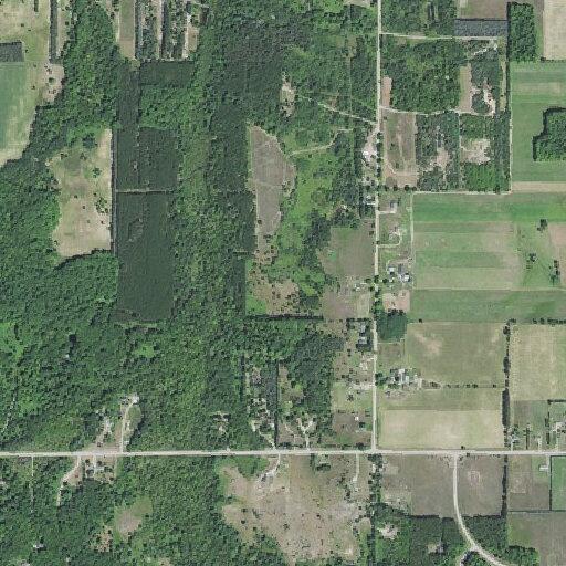 Loose pig reported on roadway in Paradise