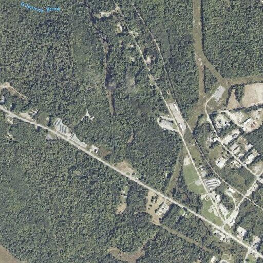 Tree on power line on fire on Boggy Brook Road
