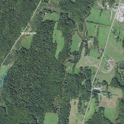 Elderly woman with varicose vein burst near Westford