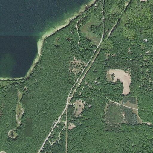 Elderly woman near Rose St, Interlochen, with severe headache