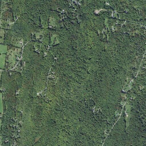 56-year-old male with spinning head near Westford