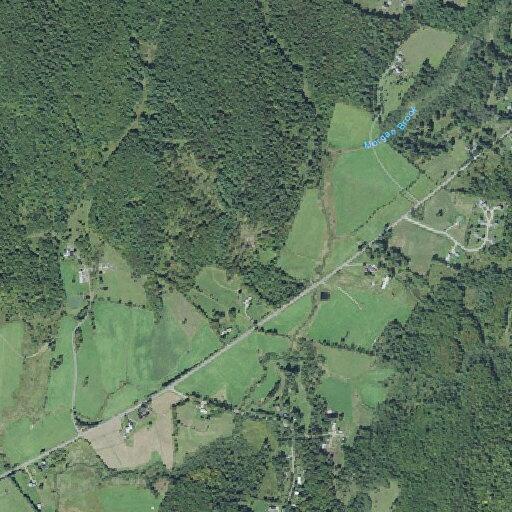 Woman experiencing severe stomach pain in Westford