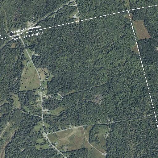 80-year-old woman found unconscious in Harrington