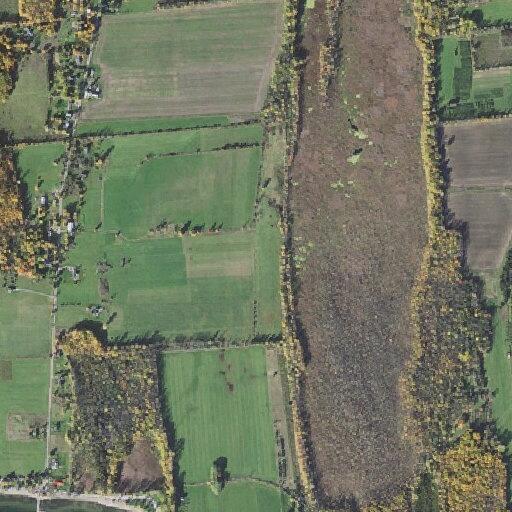 Elderly woman falls with deep knee cut in South Hero