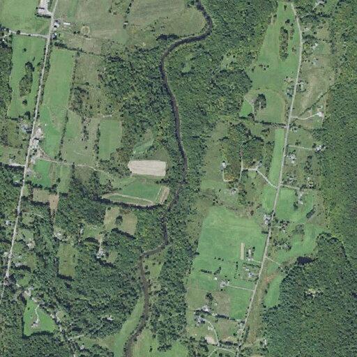 82-year-old man with COPD coughing blood in Westford