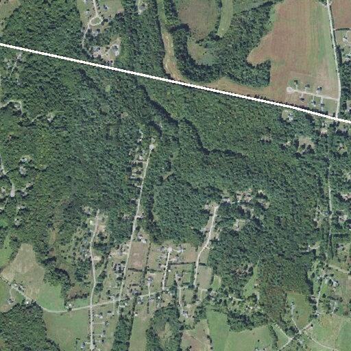 72-year-old woman with suicidal thoughts in Westford