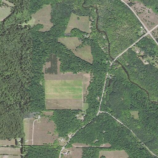 Man conscious after fall near Beulah
