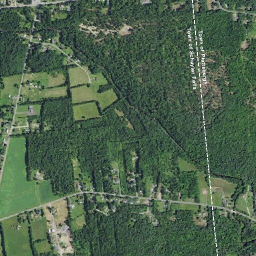 Report of people fighting near Pine Tree Drive