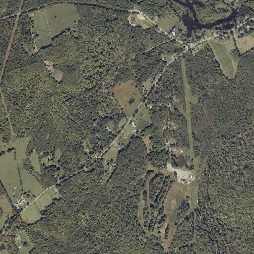 Cyclist injured after hitting tree at ski area