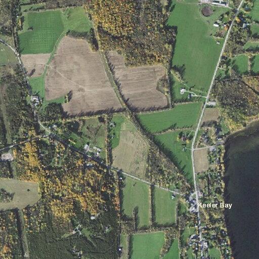 Male having seizure near Ridge Road