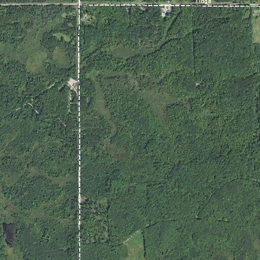 Landing zone set up then canceled near Bald Peak Forest Road