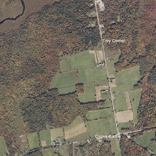 Elderly man having trouble breathing in Troy